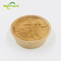 High-Quality White Tea Extract