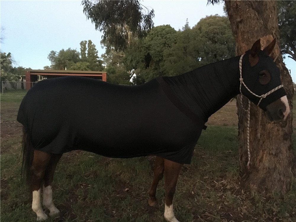 lycra horse rug