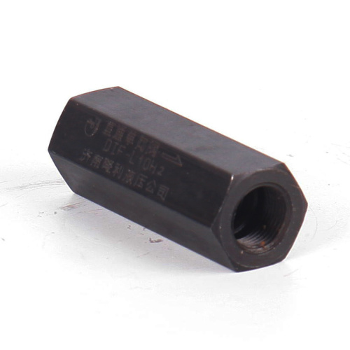 Hydraulic Function Steel Check Valve