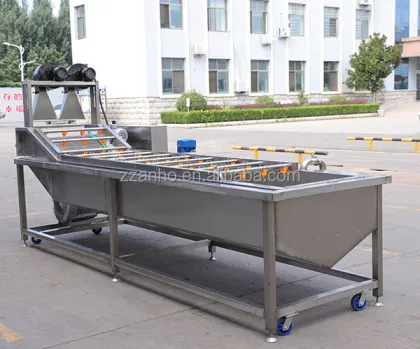 Ultrasonic Vegetable Washing Machine for Fruits like Mango and Strawberry