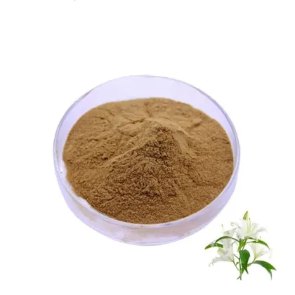 White Lily Bulb Extract Powder 10:1 White Lily