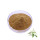 White Lily Bulb Extract Powder 10:1 White Lily