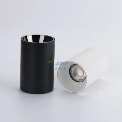Adjustable Downlight Surface Mount Downlight Frame