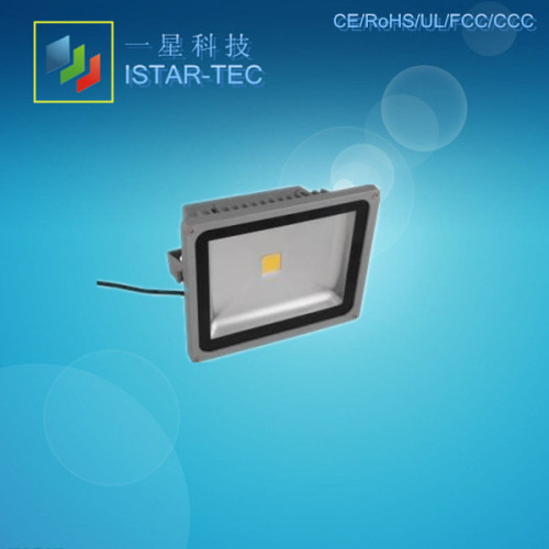 50W High Power Bridgelux IP65 LED Floodlight