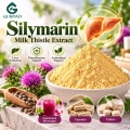 Silimarina 80% Extrato de Cardo Mariano com 30% –50% de Silibina