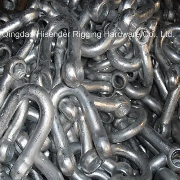 European D Type Shackle, E. Galvanized