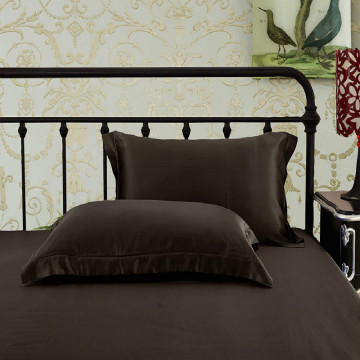 2PC 19 Momme Mulberry Silk Standard 50x75cm
