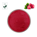 Organic Lingonberry extract powder