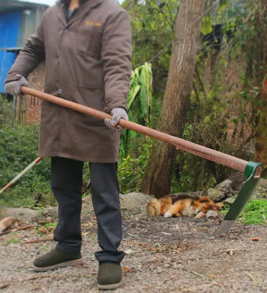 Factory Outlet Digging Hoe High  Hoe Color Handle Weight Material Weeding Hoe