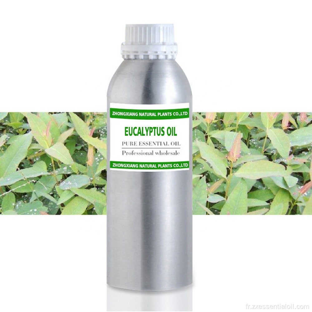 Approvisionnement d&#39;usine 100% pure huile essentielle d&#39;eucalyptus globulus