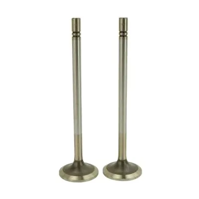 OE 6N9915 7N0572 2W2620 1007860 7N0573 6N9916 148-7455 100-7861 Parts for Caterpillar 3304 3306 D6C D7G D7C Engine Valve