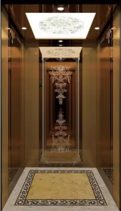 APSL Good Quality Residential Elevator Lift