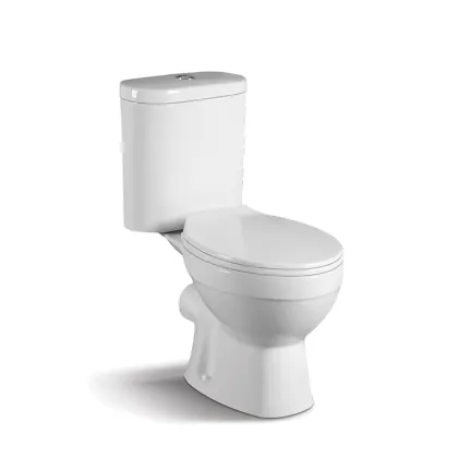 China Manufacturer Family Corner Ceramic S-Trap Toilet