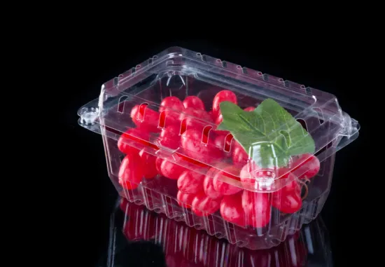Disposable Plastic Fruit Tray Fruit Clamshells