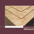 Lembaga Pengarah 16mm OSB Poplar teras