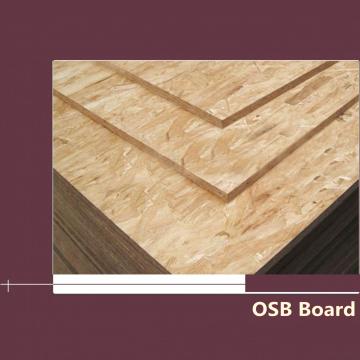Poplar Core 16mm OSB Boards