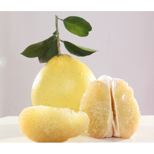 Fresh Pomelo- ის სტანდარტული ხარისხის ექსპორტი