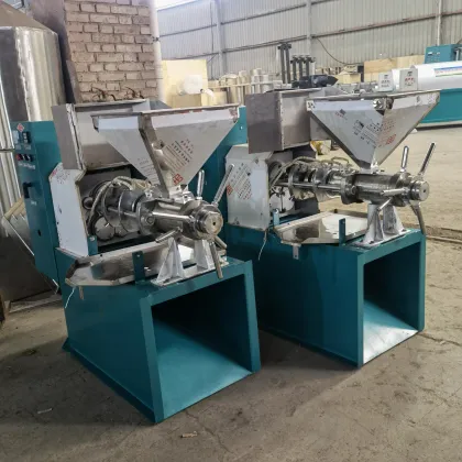 Grape Seed Grain Groundnut Oil Press Machine