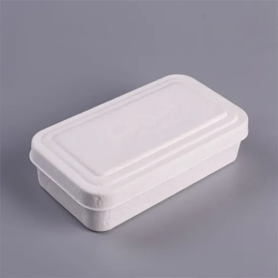 Custom Biodegradable White Gift Box Pulp Molded