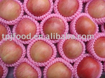 fresh red fuji apple--grade ABC