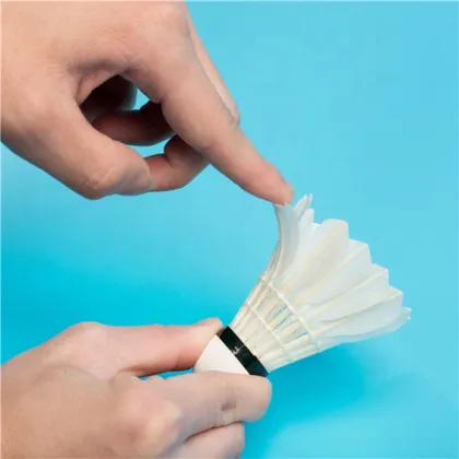 TCX3000 Good Badminton Direct from Factory