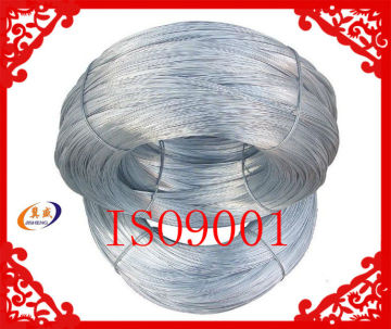 Galvanized Iron Wire (Factory & Supplier)