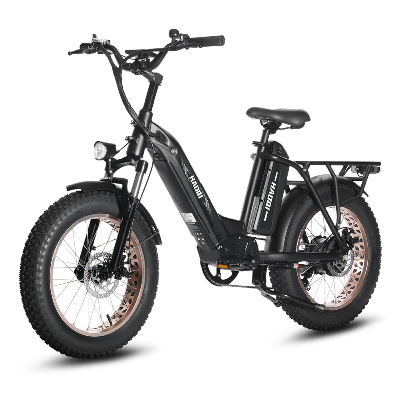 Antelope Pro 48V 25Ah Utility Fat Tire Electric Bike