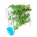 Indoor -Pflanzen eines Hydrokultur -Plastikwachstumssystems