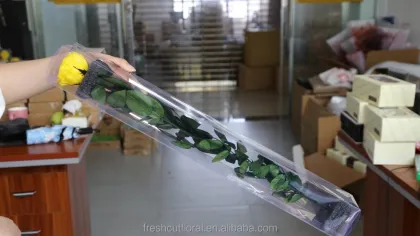 Wholesale Yellow Preserved Roses with Stem - Rainbow