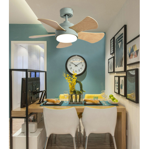 LEDER Modern Ceiling Fan With Light