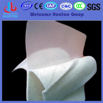 Composite geomembrane