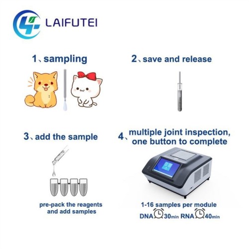 laboratory testing analysis services for vet