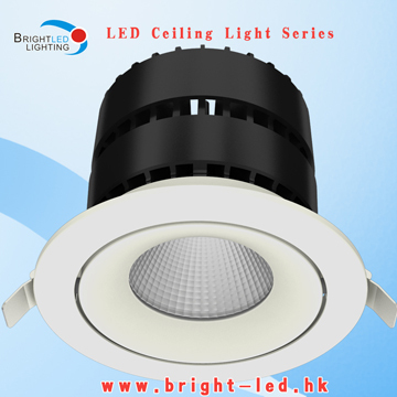Warm White LED Ceiling Light for Hall