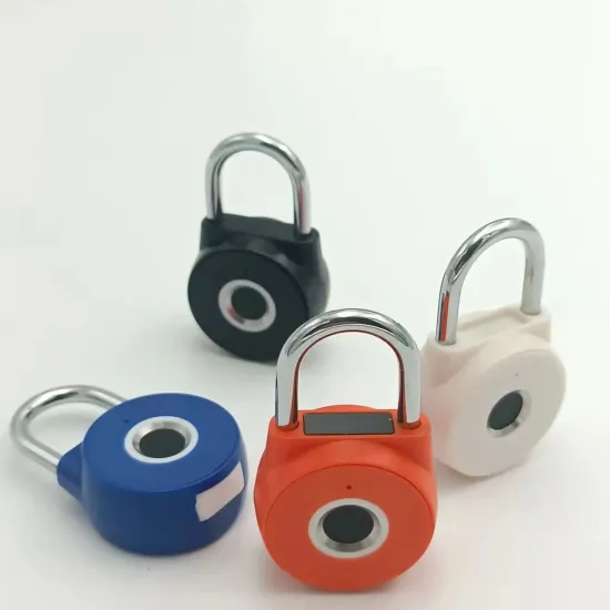 Tuya Travel Backpack with Smart Fingerprint Padlock