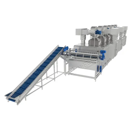 Automatic 220V Hot Air Dehydrator Machine for Fruits and Vegetables