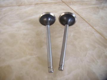 BMW 320A Engine Spare Parts Valve