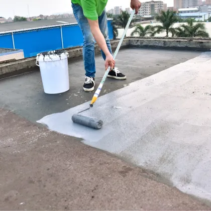 JS Polymer Cement Waterproof Coating for Roofs