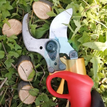 Lithium Ion Battery Electric Pruning Shears with Adjustable Cutting Diameter
