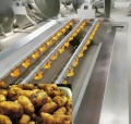 Fries Frites Productielijn wassen en peeling machine