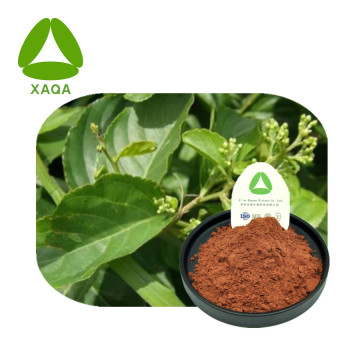 Tripterygium Wilfordii Extract 98 ٪ Celastrol Powder