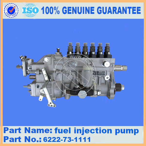 Fuel injection pump 6222-73-1111 for KOMATSU ENGINE SAA6D108E-2A-8