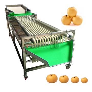 Einfache Betriebsgrößenmaschine für Palmendaten, Zwiebeln und Tomaten