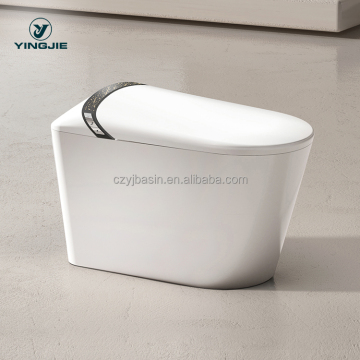 Intelligent One-Piece Smart Bidet Toilet