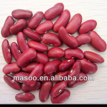 Red Kidney Bean