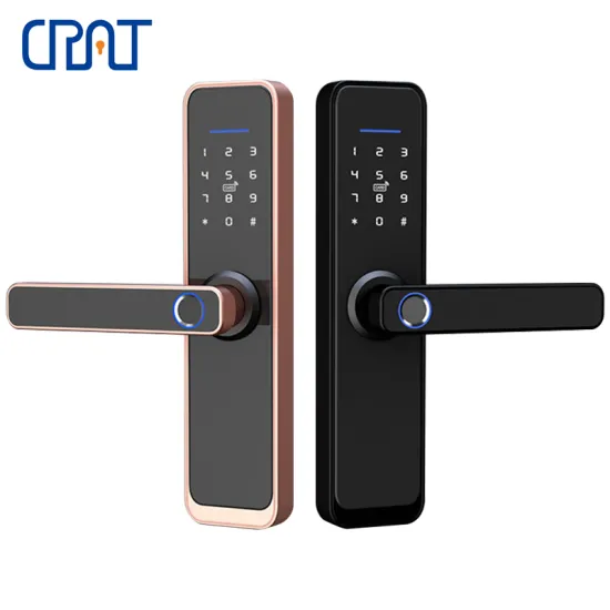 Smart Electronic Digital Fingerprint TTlock Apartment Lock