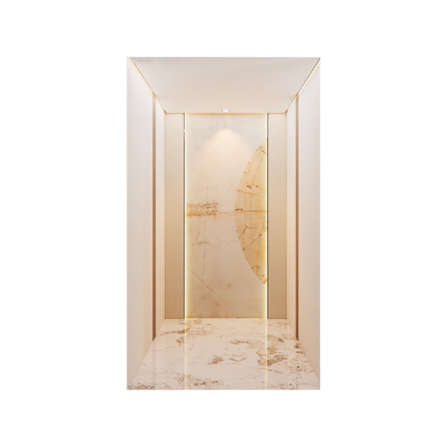 Système innovant de capsules d'ascenseur domestique