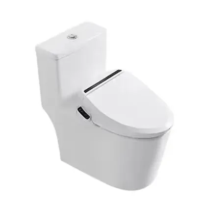 Intelligent Smart Toilet Bidet Seat Cover - Competitive Offer