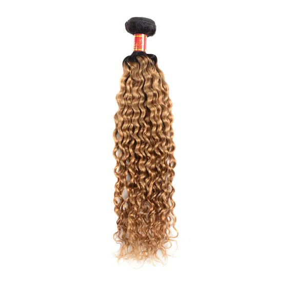 Huashuo Highest Discounts Peruvian Ombre Human Hair 1B/27 Virgin Water Wave Hair Weave