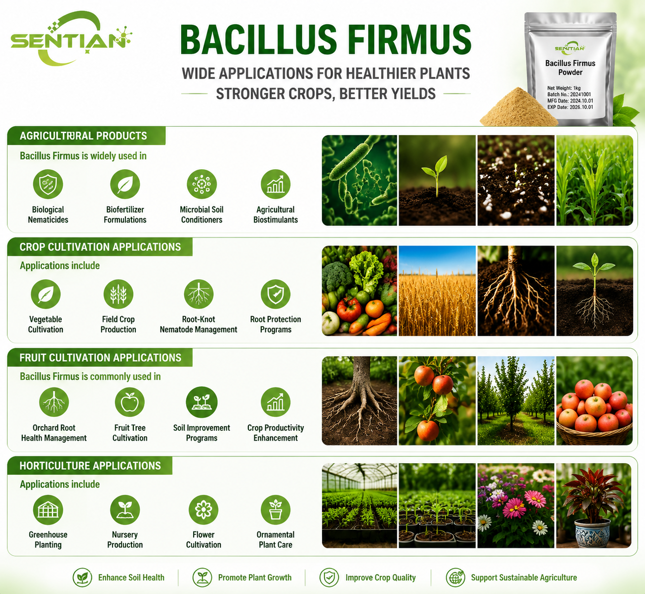 Bacillus Firmus（2）