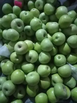 Orgin fresh Green Granny Smith apples